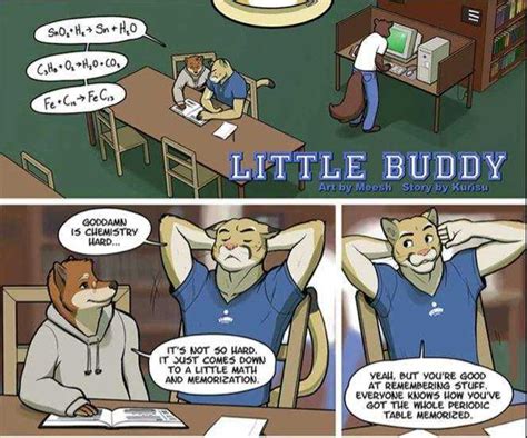 gay furry comics|Gay Furry Comics